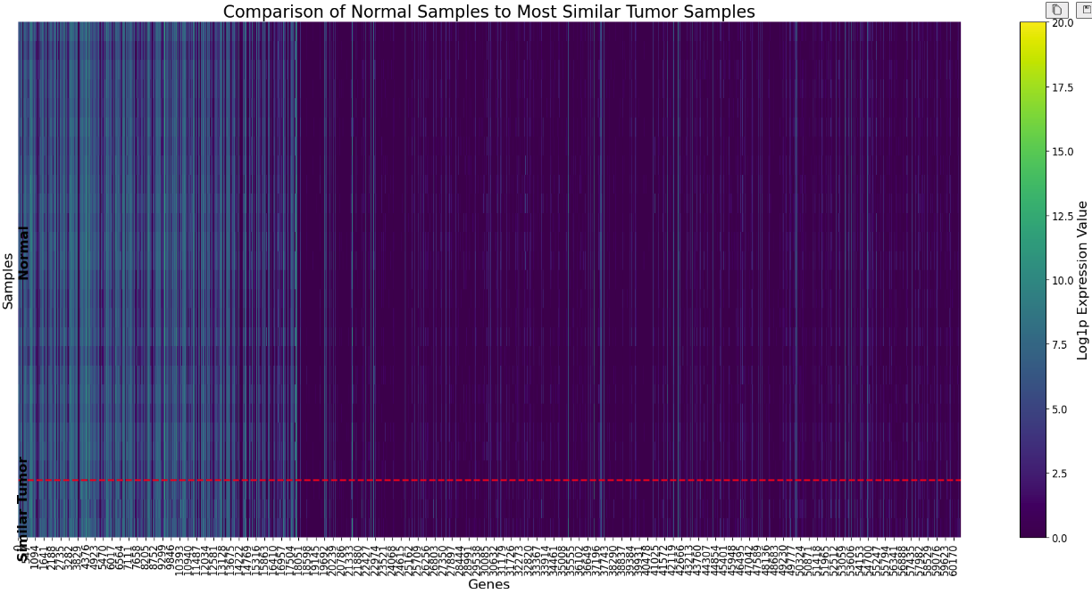 Normal Tissue Sample Simulation